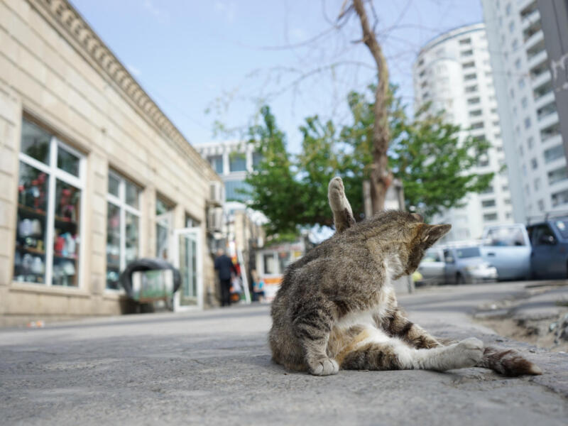 Baku — Azerbaijan