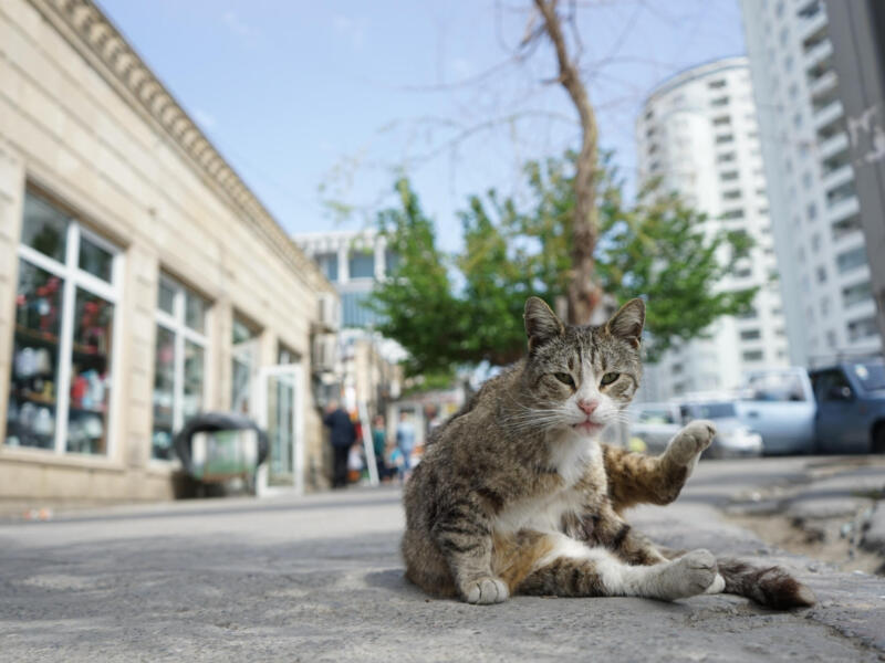 Baku — Azerbaijan