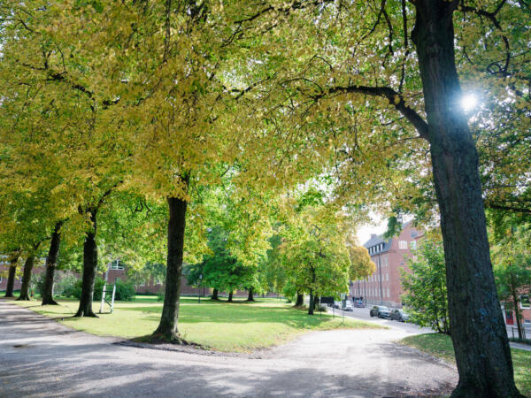 M231014_113007_04076