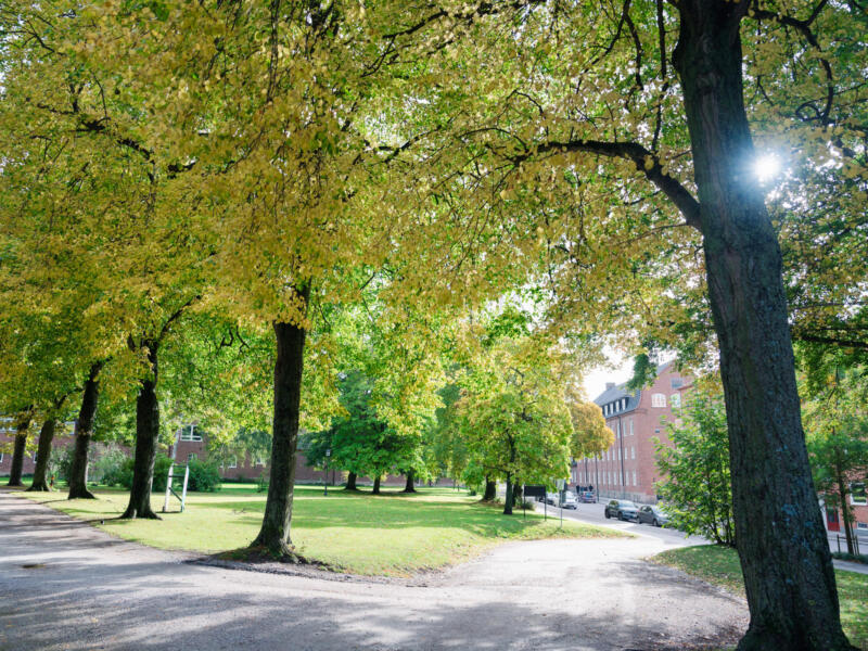 Lund — Sweden