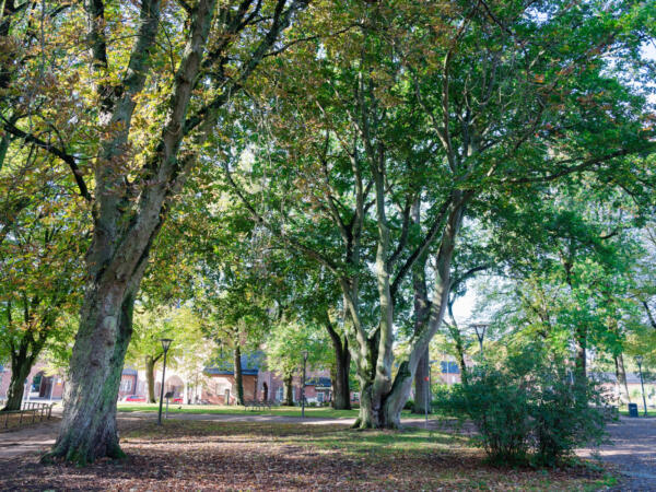 M231014_114154_04117