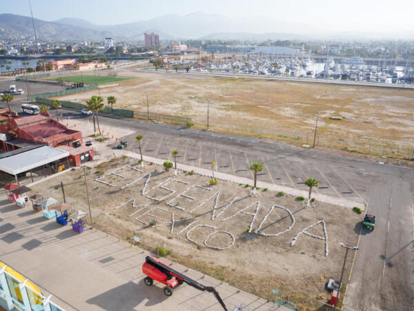 M250429_074658_05607