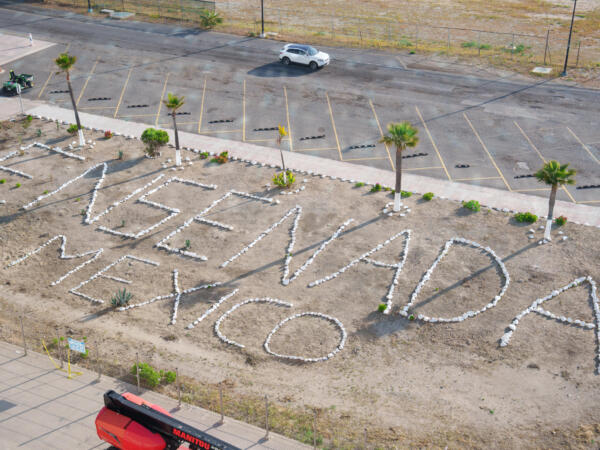 M250429_074711_05616