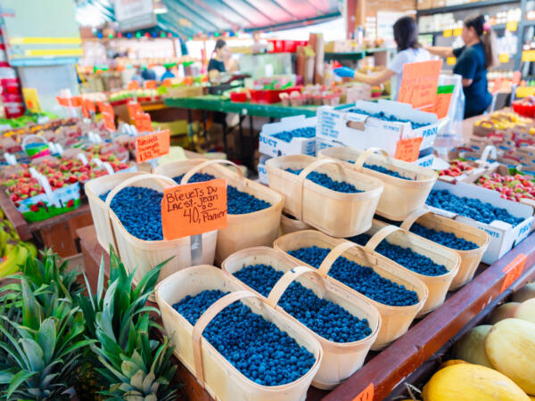 M250809_104233_06840