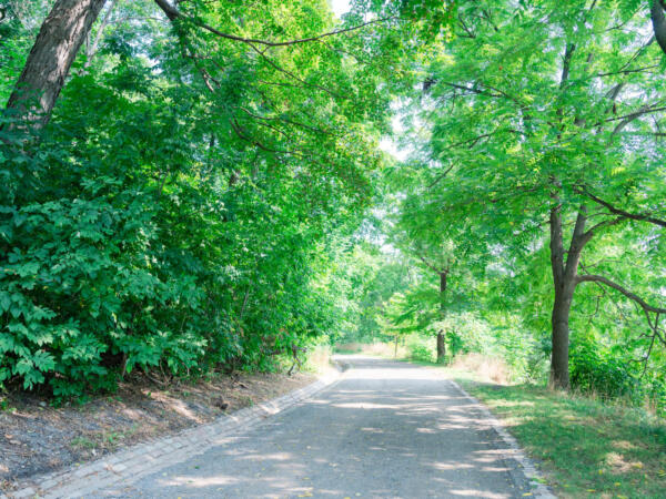 M250814_101215_07780