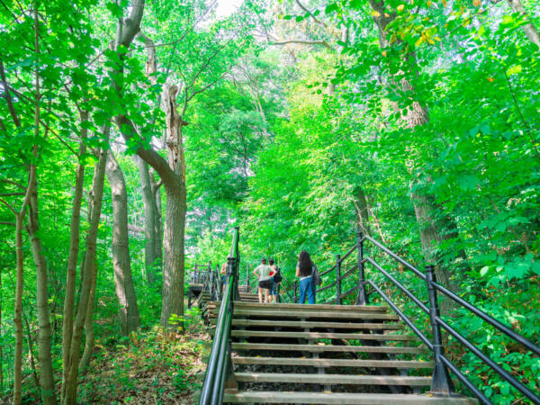 M250814_110157_07828