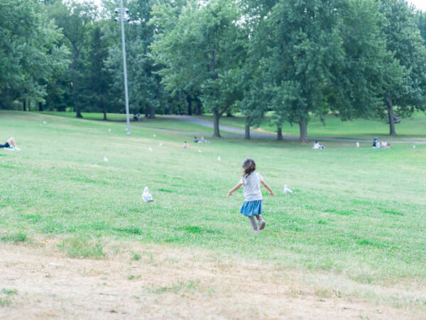 M250814_121716_07905