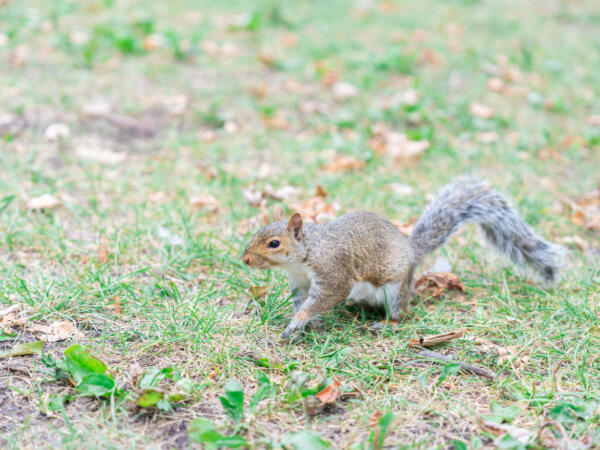 M250814_123555_07972