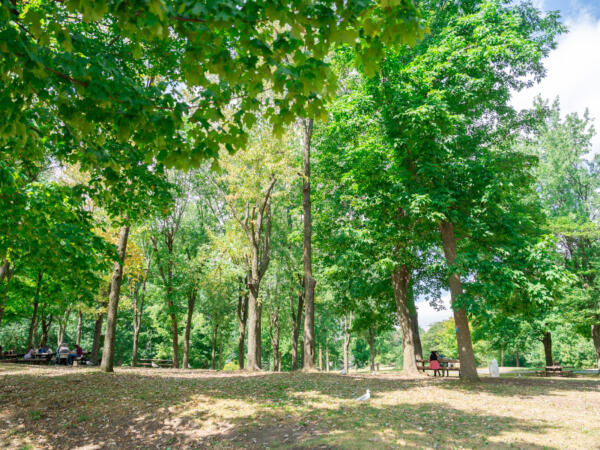 M250814_124057_07973