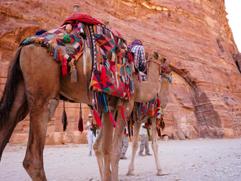 Petra — Jordan