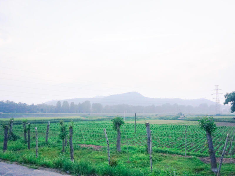 Pyongyang — North Korea