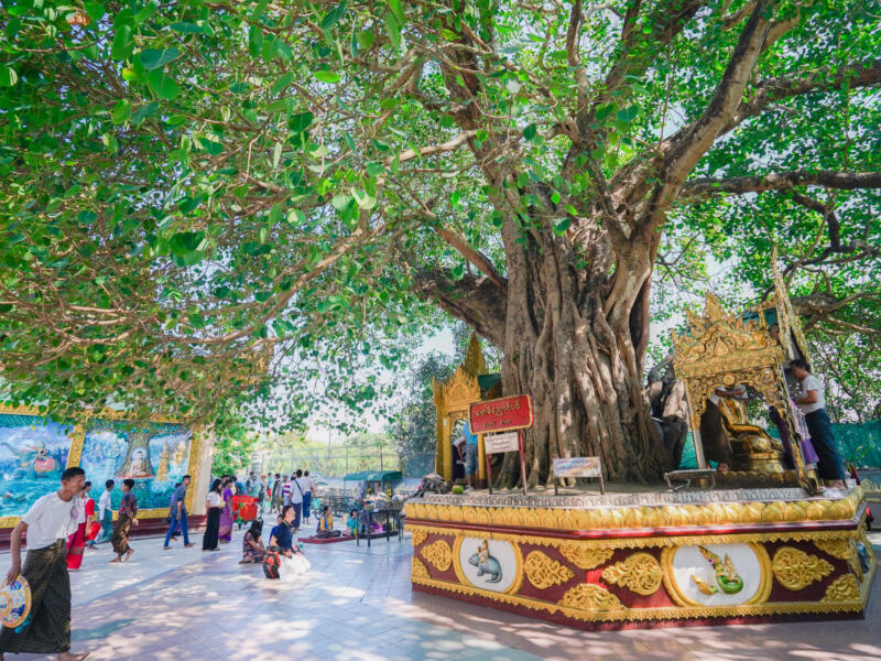 Yangon — Myanmar